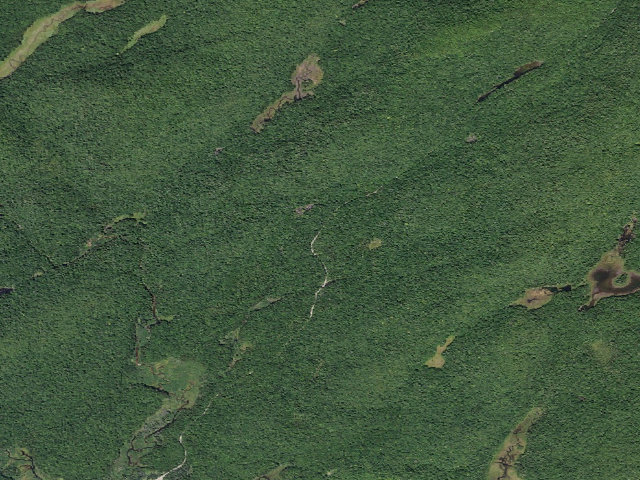 Aerial image of Powley Rd Roadside Campsite (Ferris Lake Wild Forest)