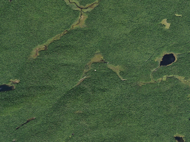 Aerial image of Powley Rd Roadside Campsite (Ferris Lake Wild Forest)