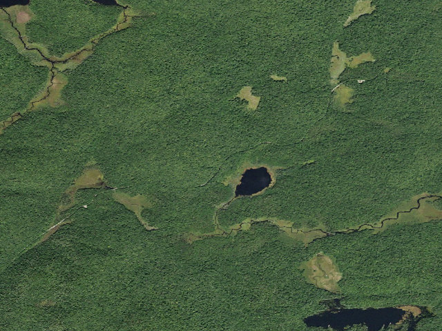 Aerial image of Powley Rd Roadside Campsite (Ferris Lake Wild Forest)