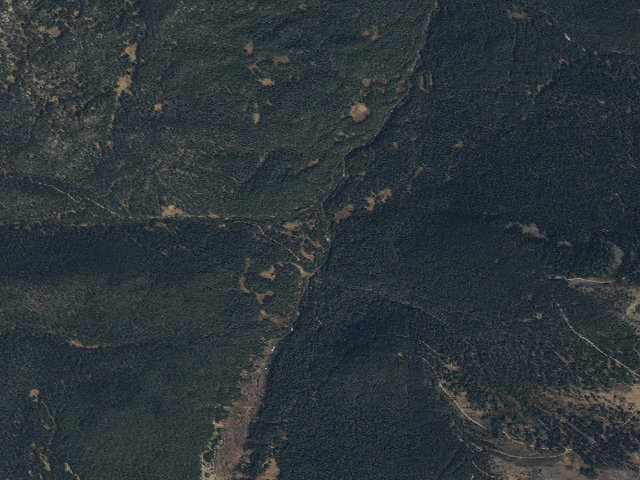 Aerial image of Ppin1C