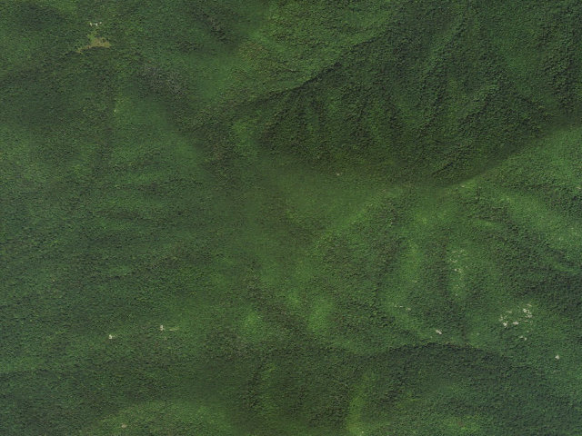 Aerial image of Priest A.T. Shelter