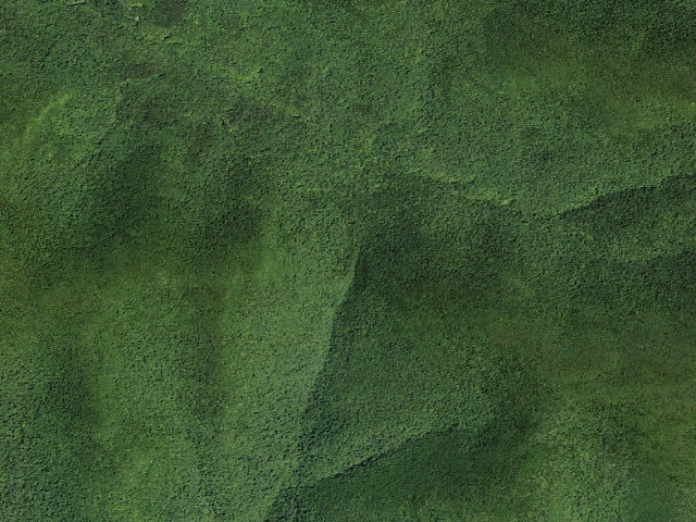 Aerial image of Primitive Campsite [DEC #16154] (Hunter-West Kill Wilderness)