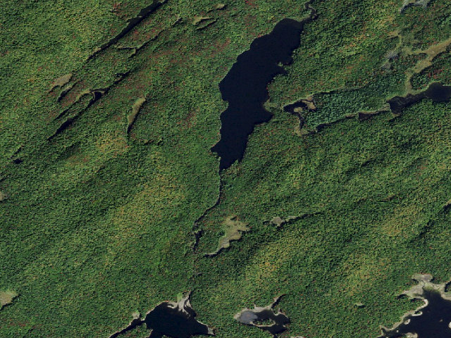 Aerial image of Primitive Campsite (Five Ponds Wilderness)