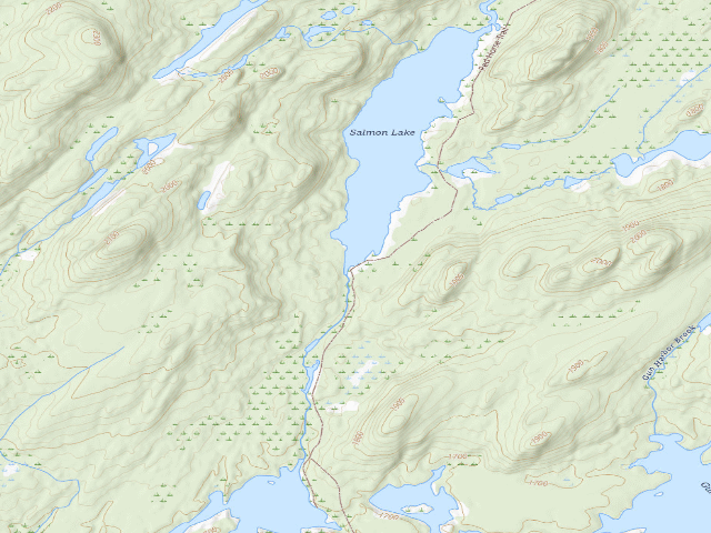 USGS topographic map of Primitive Campsite (Five Ponds Wilderness)