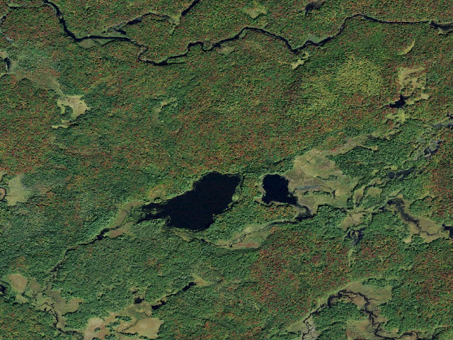 Aerial image of Primitive Tent Site (Independence River Wild Forest)