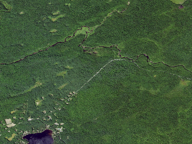 Aerial image of Primitive Tent Site (Independence River Wild Forest)
