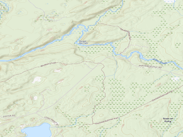 USGS topographic map of Primitive Tent Site (Independence River Wild Forest)