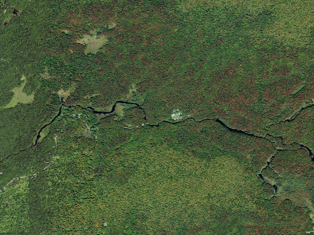 Aerial image of Primitive Tent Site (Independence River Wild Forest)