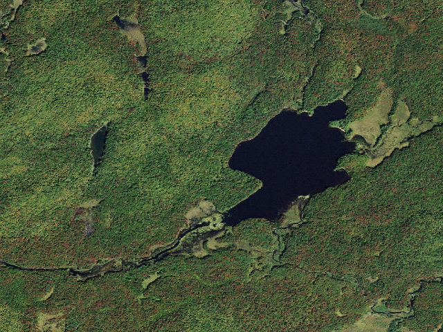 Aerial image of Primitive Tent Site (Independence River Wild Forest)