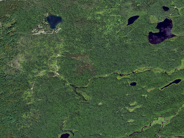 Aerial image of Primitive Tent Site (Independence River Wild Forest)