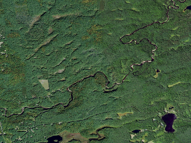 Aerial image of Primitive Tent Site (Independence River Wild Forest)