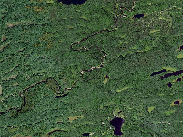 Aerial image of Primitive Tent Site (Independence River Wild Forest)