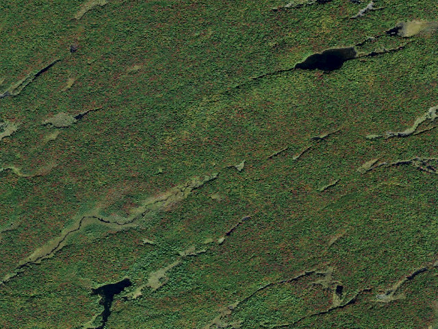Aerial image of Primitive Tent Site (Independence River Wild Forest)