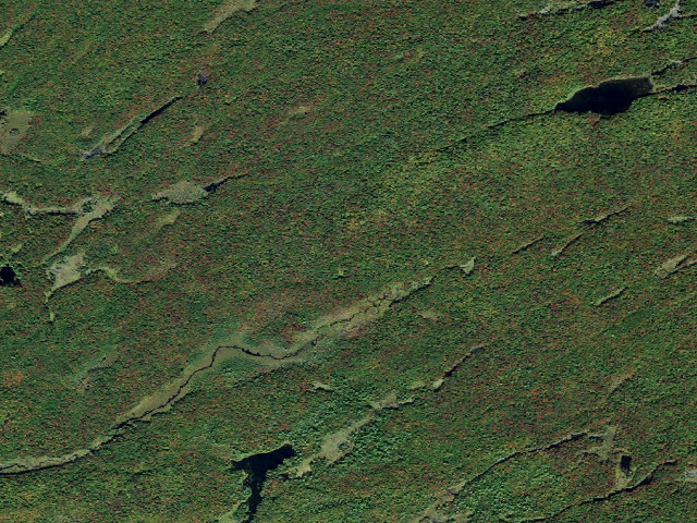Aerial image of Primitive Tent Site (Independence River Wild Forest)