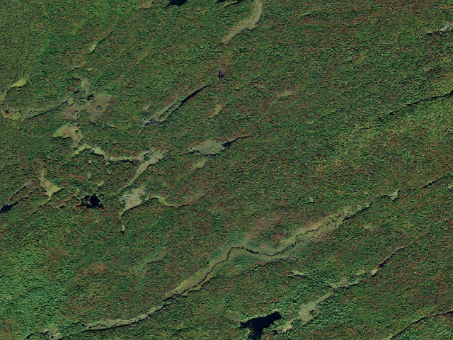 Aerial image of Primitive Tent Site (Independence River Wild Forest)