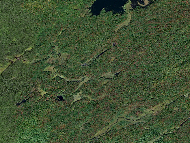 Aerial image of Primitive Tent Site (Independence River Wild Forest)