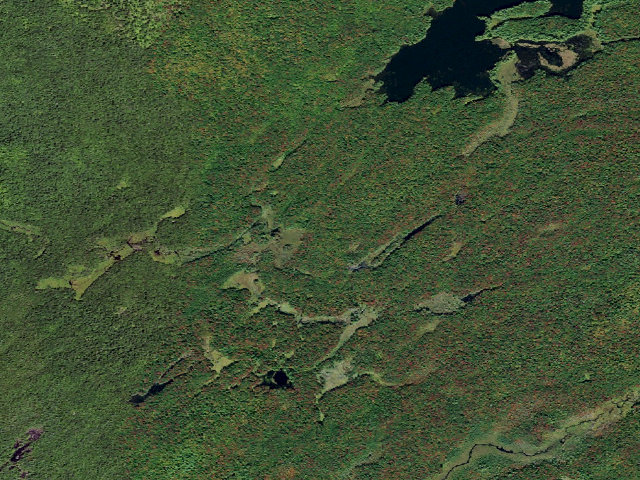 Aerial image of Primitive Tent Site (Independence River Wild Forest)