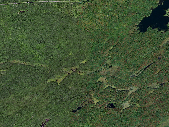 Aerial image of Primitive Tent Site (Independence River Wild Forest)