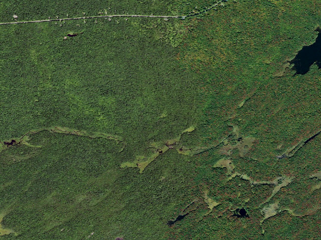 Aerial image of Primitive Tent Site (Independence River Wild Forest)