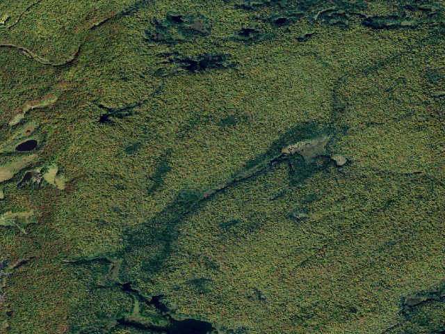 Aerial image of Primitive Tent Site (Independence River Wild Forest)
