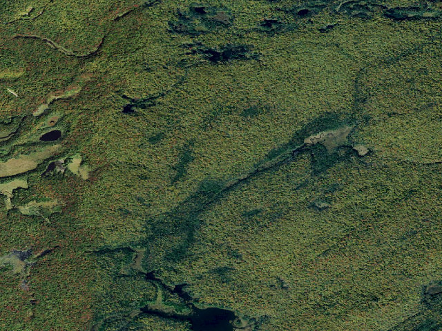 Aerial image of Primitive Tent Site (Independence River Wild Forest)