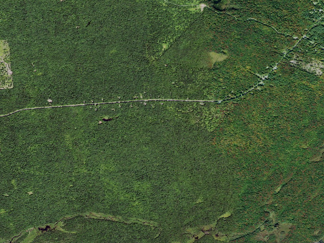 Aerial image of Primitive Tent Site (Independence River Wild Forest)