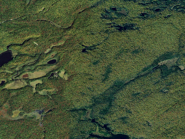 Aerial image of Primitive Tent Site (Independence River Wild Forest)