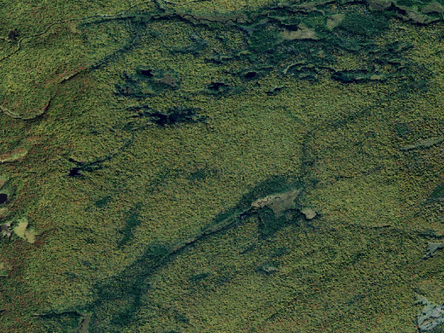 Aerial image of Primitive Tent Site (Independence River Wild Forest)