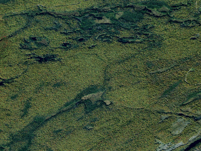 Aerial image of Primitive Tent Site (Independence River Wild Forest)
