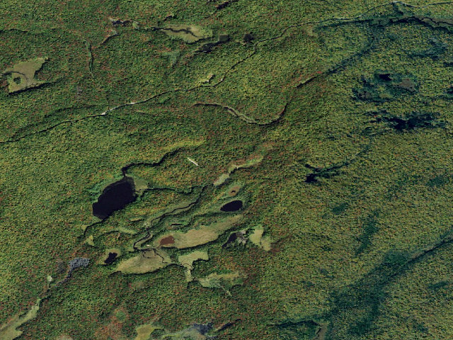 Aerial image of Primitive Tent Site (Independence River Wild Forest)