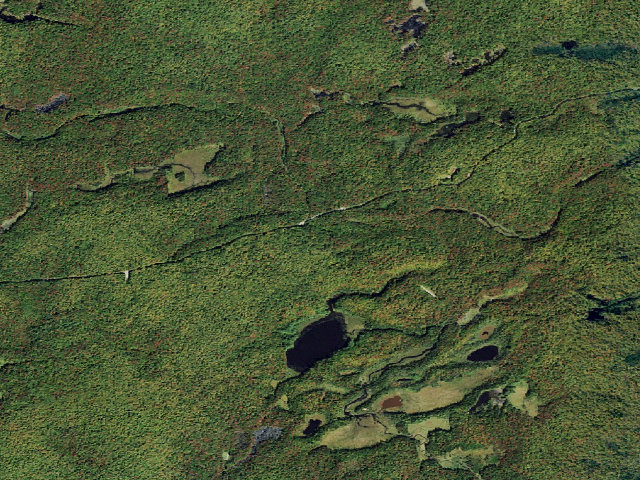 Aerial image of Primitive Tent Site (Independence River Wild Forest)