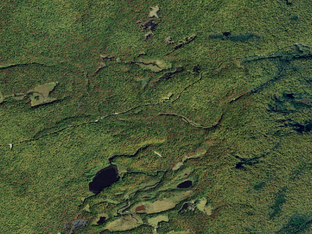Aerial image of Primitive Tent Site (Independence River Wild Forest)