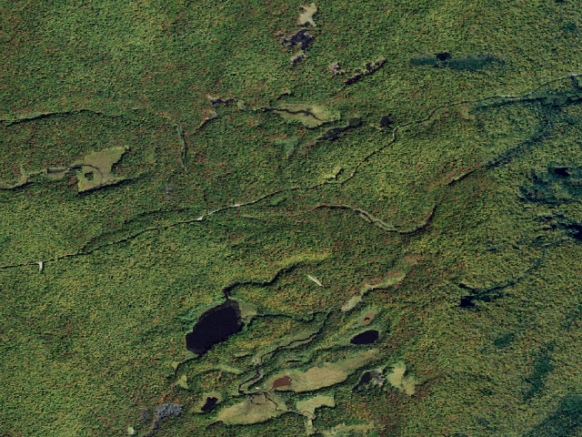 Aerial image of Primitive Tent Site (Independence River Wild Forest)