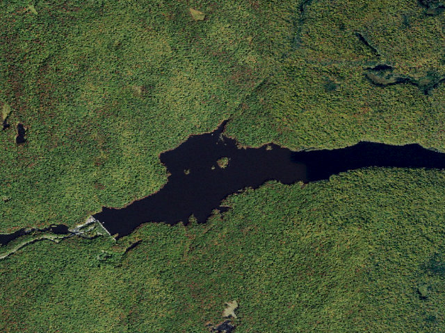 Aerial image of Primitive Tent Site (Independence River Wild Forest)