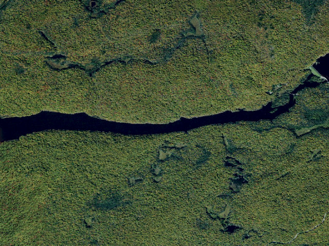 Aerial image of Primitive Tent Site (Independence River Wild Forest)