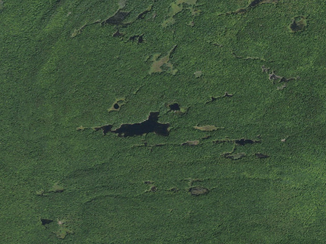 Aerial image of Primitive Tent Site (Pharaoh Lake Wilderness)