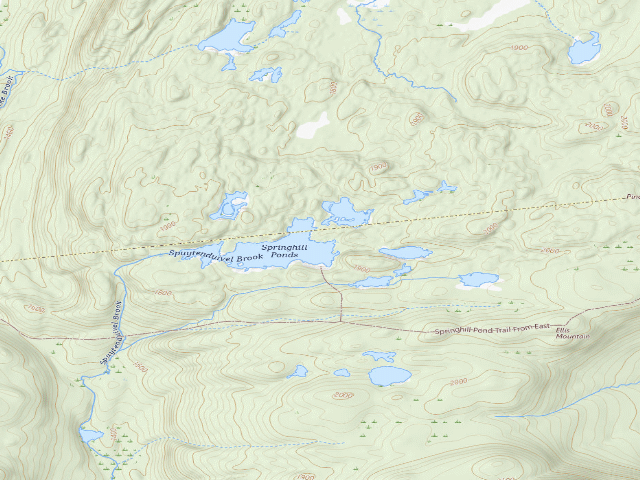 USGS topographic map of Primitive Tent Site (Pharaoh Lake Wilderness)