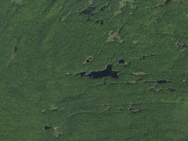 Aerial image of Primitive Tent Site (Pharaoh Lake Wilderness)