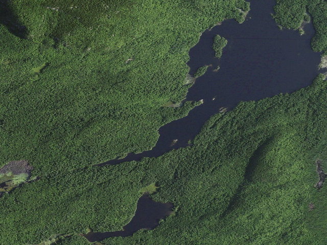 Aerial image of Primitive Tent Site (Pharaoh Lake Wilderness)