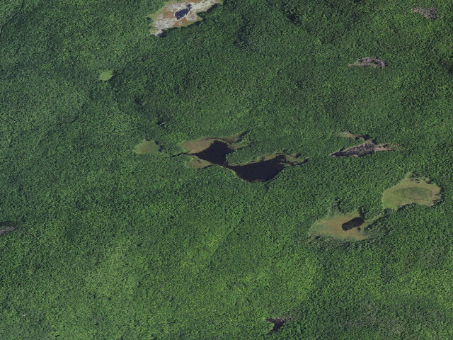 Aerial image of Primitive Tent Site (Pharaoh Lake Wilderness)