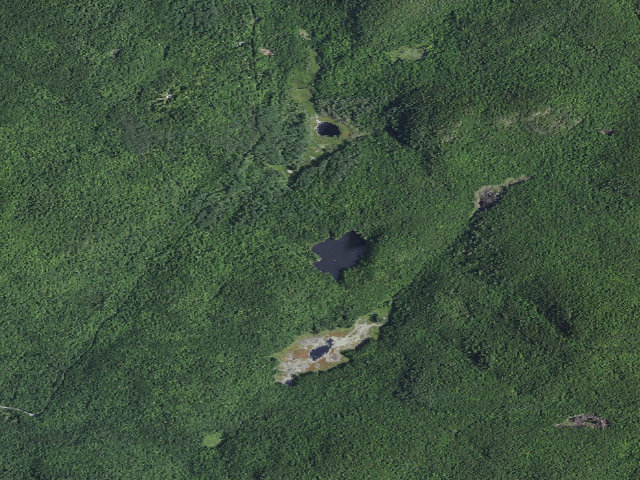 Aerial image of Primitive Tent Site (Pharaoh Lake Wilderness)