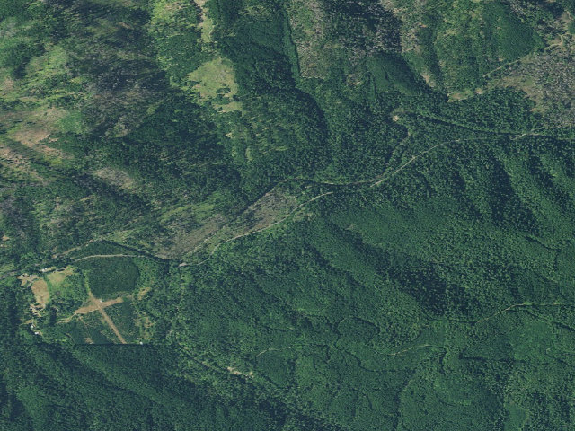 Aerial image of Puma