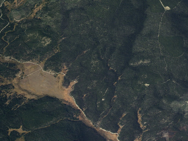 Aerial image of Purple Flowers