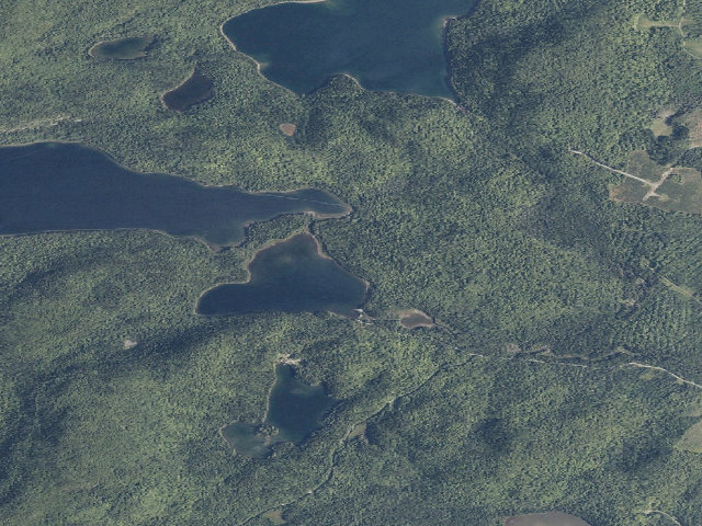 Aerial image of Pushineer East (Deboullie Public Land)