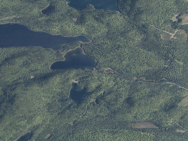 Aerial image of Pushineer South (Deboullie Public Land)