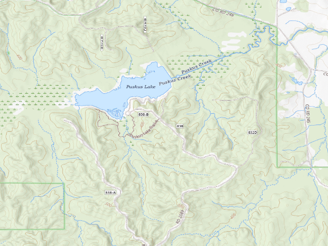 USGS topographic map of Puskus Lake