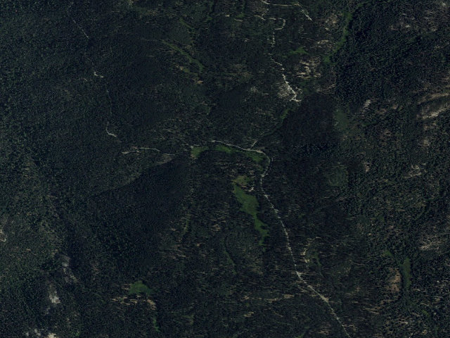 Aerial image of Quaking Aspen