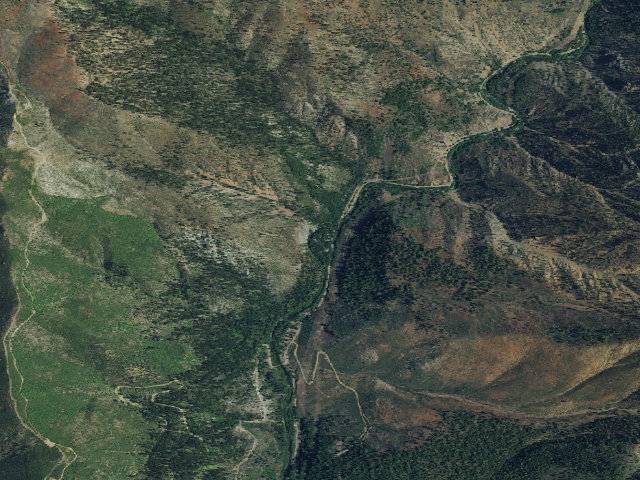 Aerial image of Queen Lily (Family Cg)
