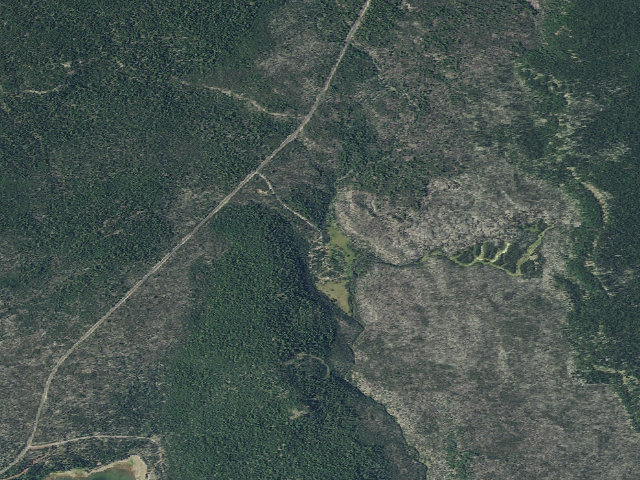 Aerial image of Quinn Meadow Horse Camp