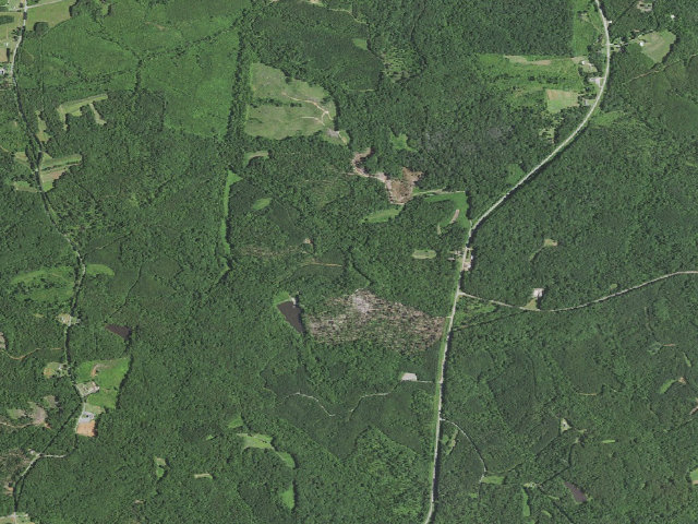 Aerial image of R. Wayne Bailey - Caswell Game Land camping area #1